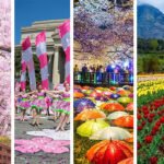 Where to Go for Spring Blooms in 2026